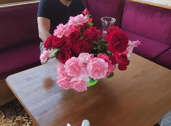 מלון Larissa Cave