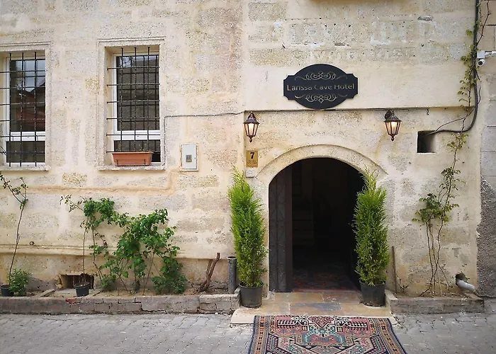 Larissa Cave נבשהיר